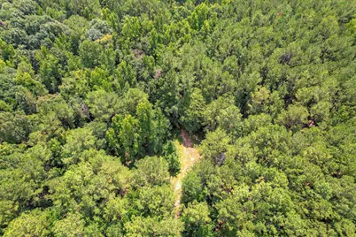 157 Promised Land Road, Edgefield, SC 29824 - Photo 17