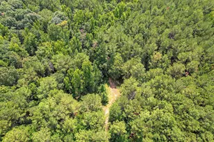 157 Promised Land Rd, Edgefield, SC 29824 - Photo 17