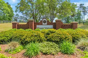 281 Eutaw Springs Trail, North Augusta, SC 29860 - Photo 69