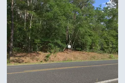 0 Lot 5, Holiness Church Road, Wagener, SC 29164 - Photo 9