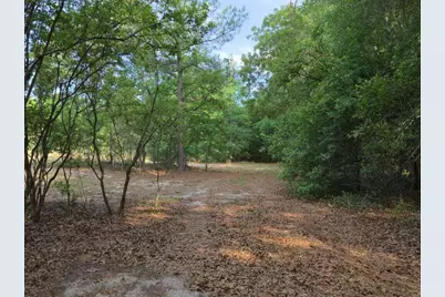 0 Lot 5, Holiness Church Road, Wagener, SC 29164 - Photo 15