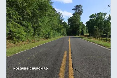 0 Lot 5, Holiness Church Road, Wagener, SC 29164 - Photo 7