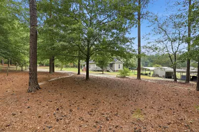 707 Mount Ebal Road, Batesburg-Leesville, SC 29006 - Photo 41