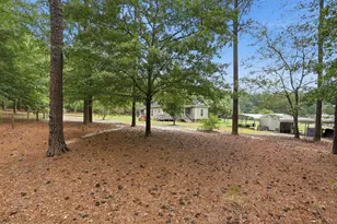 707 Mt Ebal Rd, Batesburg-Leesville, SC 29006 - Photo 41