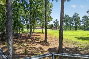 9024 Rainbow Rdg Cir, Windsor, SC 29856 - Photo 55