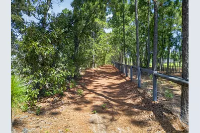 9024 Rainbow Ridge Circle, Windsor, SC 29856 - Photo 51