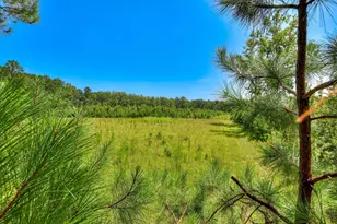 170 Landing Rd, Jackson, SC 29831 - Photo 1