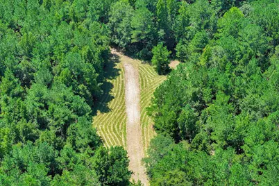 170 Landing Road, Jackson, SC 29831 - Photo 67