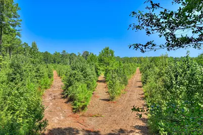 170 Landing Road, Jackson, SC 29831 - Photo 17