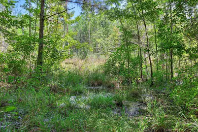 170 Landing Road, Jackson, SC 29831 - Photo 39