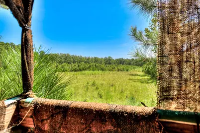 170 Landing Road, Jackson, SC 29831 - Photo 27