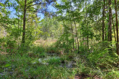 170 Landing Road, Jackson, SC 29831 - Photo 37