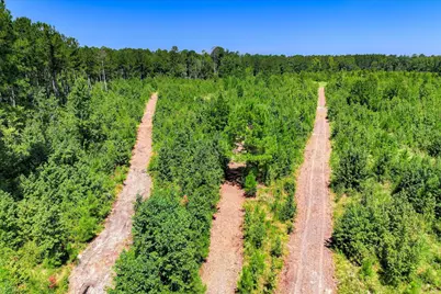 170 Landing Road, Jackson, SC 29831 - Photo 53