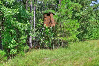 170 Landing Road, Jackson, SC 29831 - Photo 23