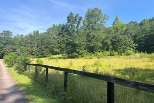 856 Tookie Doo Ln, Elgin, SC 29045 - Photo 5