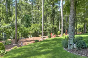 132 Pinyon Pine Loop, Aiken, SC 29803 - Photo 39