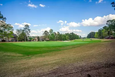 132 Pinyon Pine Loop, Aiken, SC 29803 - Photo 41