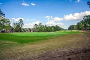 132 Pinyon Pine Loop, Aiken, SC 29803 - Photo 41