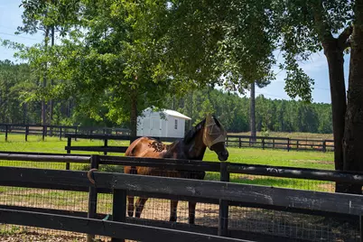 721 Riding Ridge Court, Aiken, SC 29801 - Photo 11