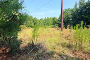 141 Autumn Chase Ln, Beech Island, SC 29842 - Photo 1