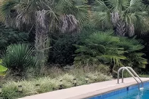 3302 Storm Branch Rd, Beech Island, SC 29842 - Photo 3