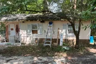 403 Main St, Blackville, SC 29817 - Photo 19