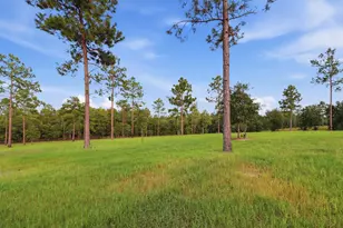 9300 Ocilla Pl, Aiken, SC 29803 - Photo 57