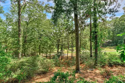 4 Prestwick Court, Aiken, SC 29803 - Photo 65