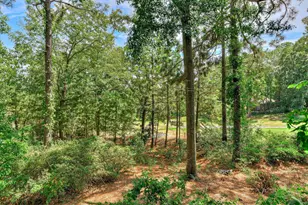 4 Prestwick Ct, Aiken, SC 29803 - Photo 65