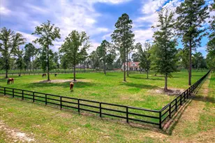 252 Paddock Clb Pkwy, Aiken, SC 29803 - Photo 5