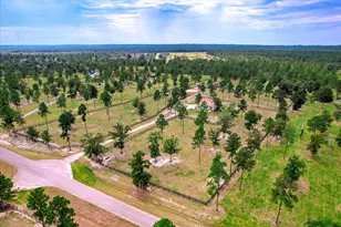 252 Paddock Clb Pkwy, Aiken, SC 29803 - Photo 43