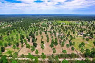 252 Paddock Clb Pkwy, Aiken, SC 29803 - Photo 45