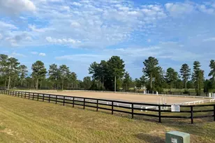 252 Paddock Clb Pkwy, Aiken, SC 29803 - Photo 41