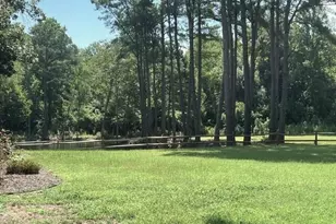 12565 State Hwy 64, Barnwell, SC 29812 - Photo 41