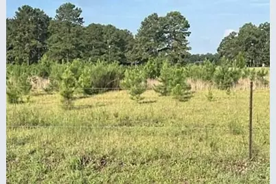 402 State Rd S-6-537, Barnwell, SC 29812 - Photo 5