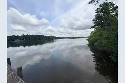 731 Edisto Lake Road, Wagener, SC 29164 - Photo 3