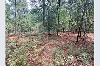 731 Edisto Lake Road, Wagener, SC 29164 - Photo 11