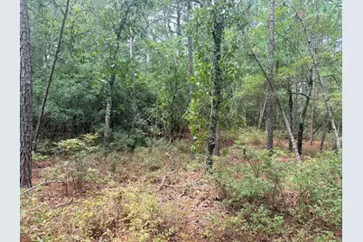 731 Edisto Lake Road, Wagener, SC 29164 - Photo 9