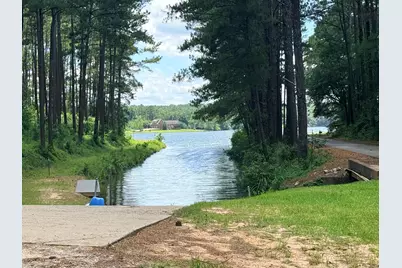 731 Edisto Lake Road, Wagener, SC 29164 - Photo 5