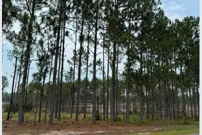 1421/Lot13 Cooks Bridge Road, Aiken, SC 29805 - Photo 3