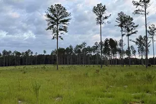00 NW Ryndi, Aiken, SC 29805 - Photo 1