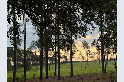 00 NW Ryndi, Aiken, SC 29805 - Photo 5