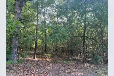 1444 Mulberry Road, Barnwell, SC 29812 - Photo 5