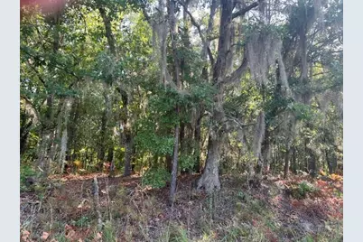 1444 Mulberry Road, Barnwell, SC 29812 - Photo 3