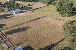 269 Holmes Pond Rd, Johnston, SC 29832 - Photo 49
