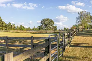 269 Holmes Pond Rd, Johnston, SC 29832 - Photo 43