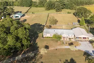 269 Holmes Pond Rd, Johnston, SC 29832 - Photo 47