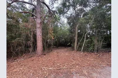 400 Long Street SE, New Ellenton, SC 29809 - Photo 11