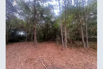 402 Long Street, New Ellenton, SC 29809 - Photo 3