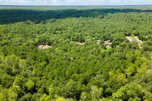 4769 Banks Mill Rd SE, Aiken, SC 29803 - Photo 75